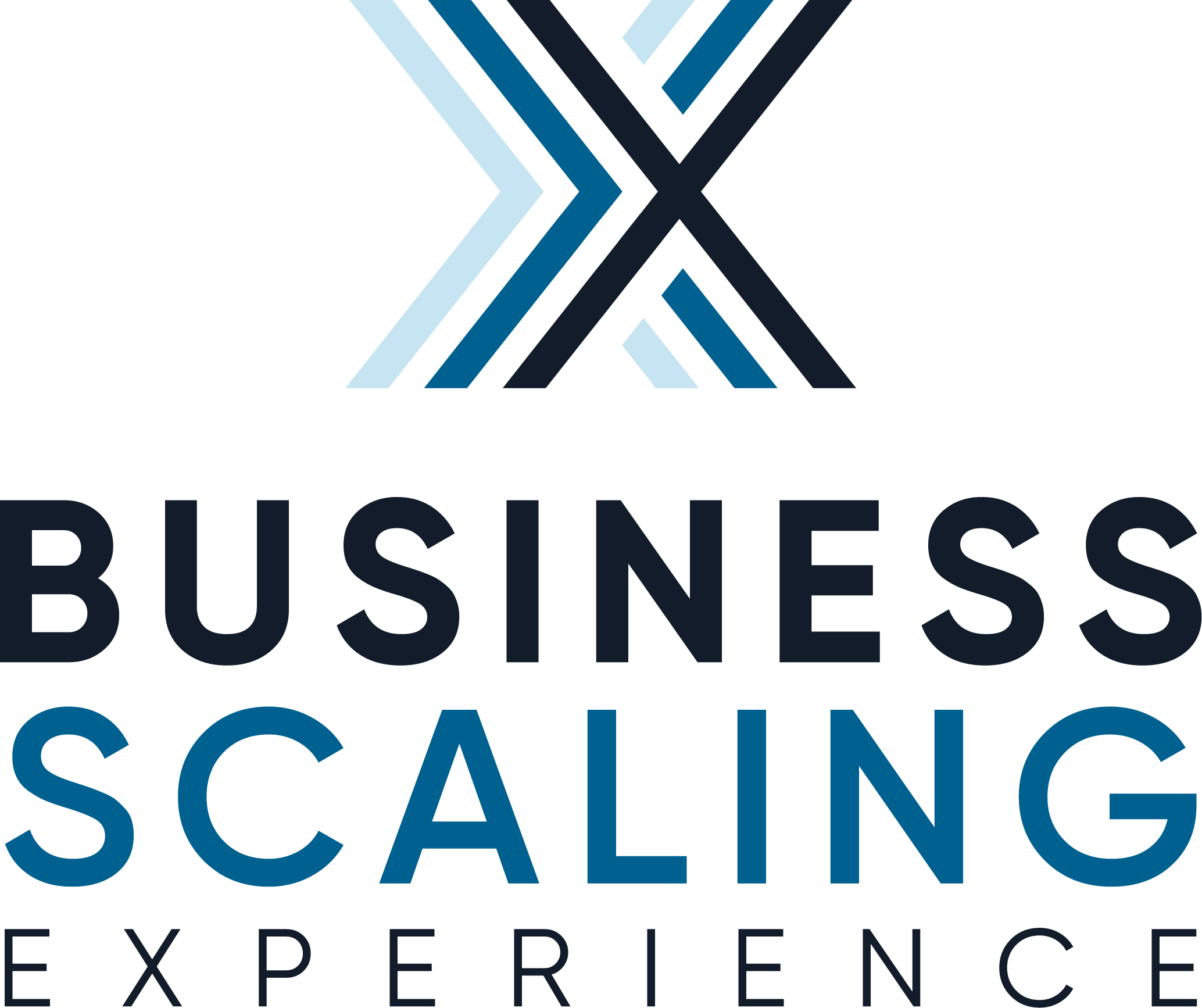 Business Scaling Experience